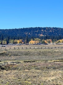 View off the back porch