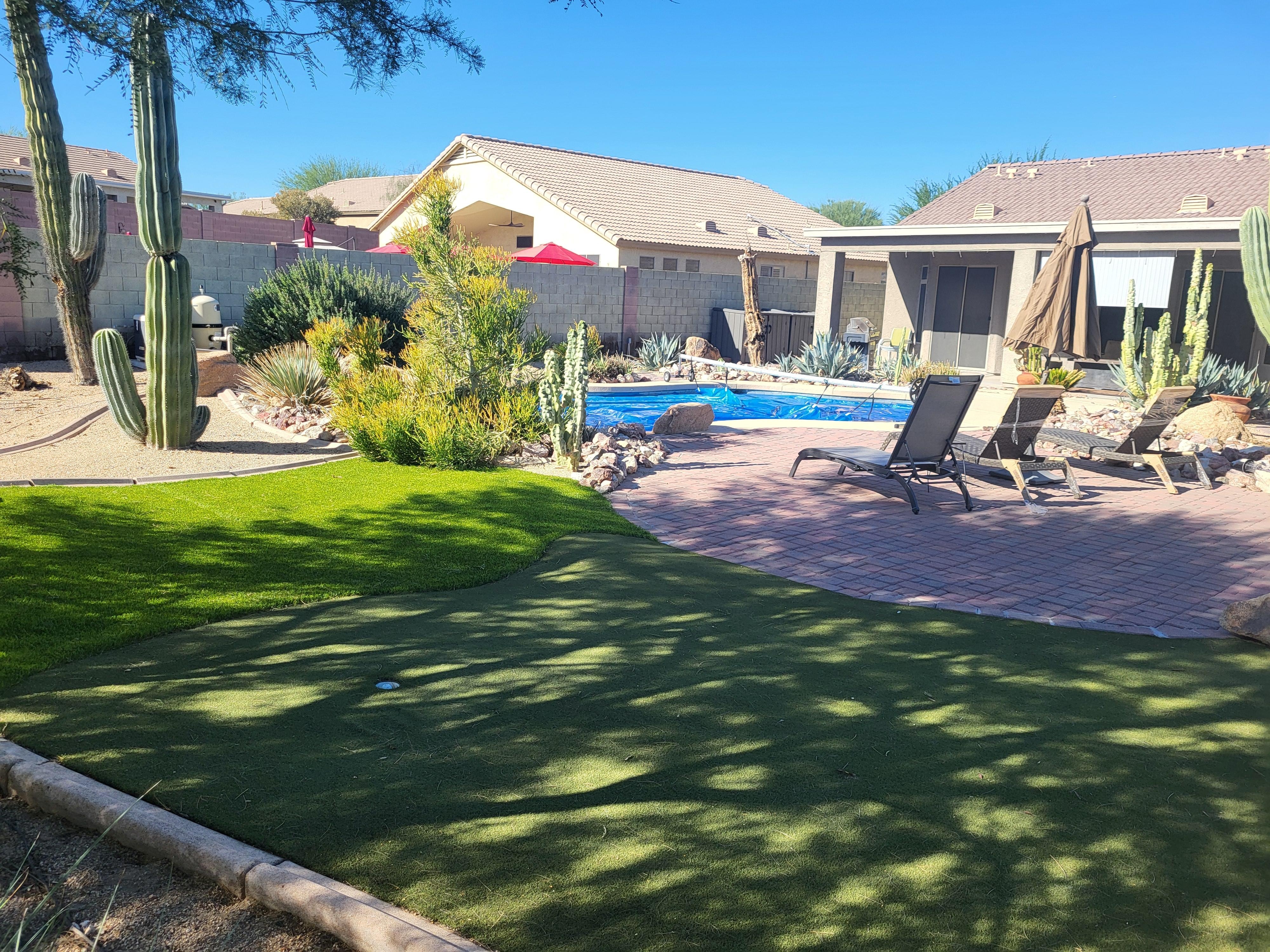 Beautiful back yard.