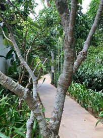 Gardens