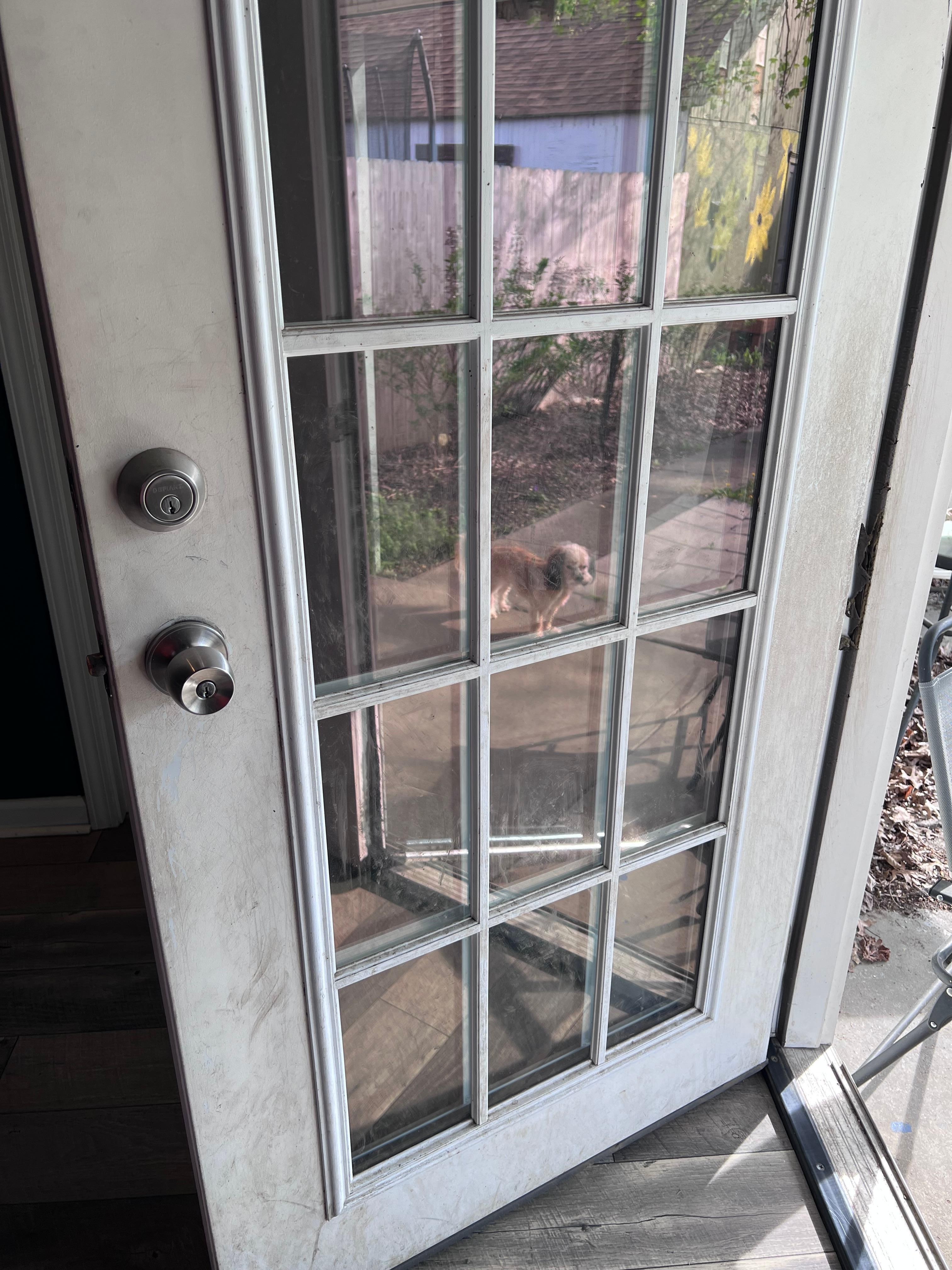 Door to backyard 