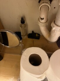 Rat trap set for the next one