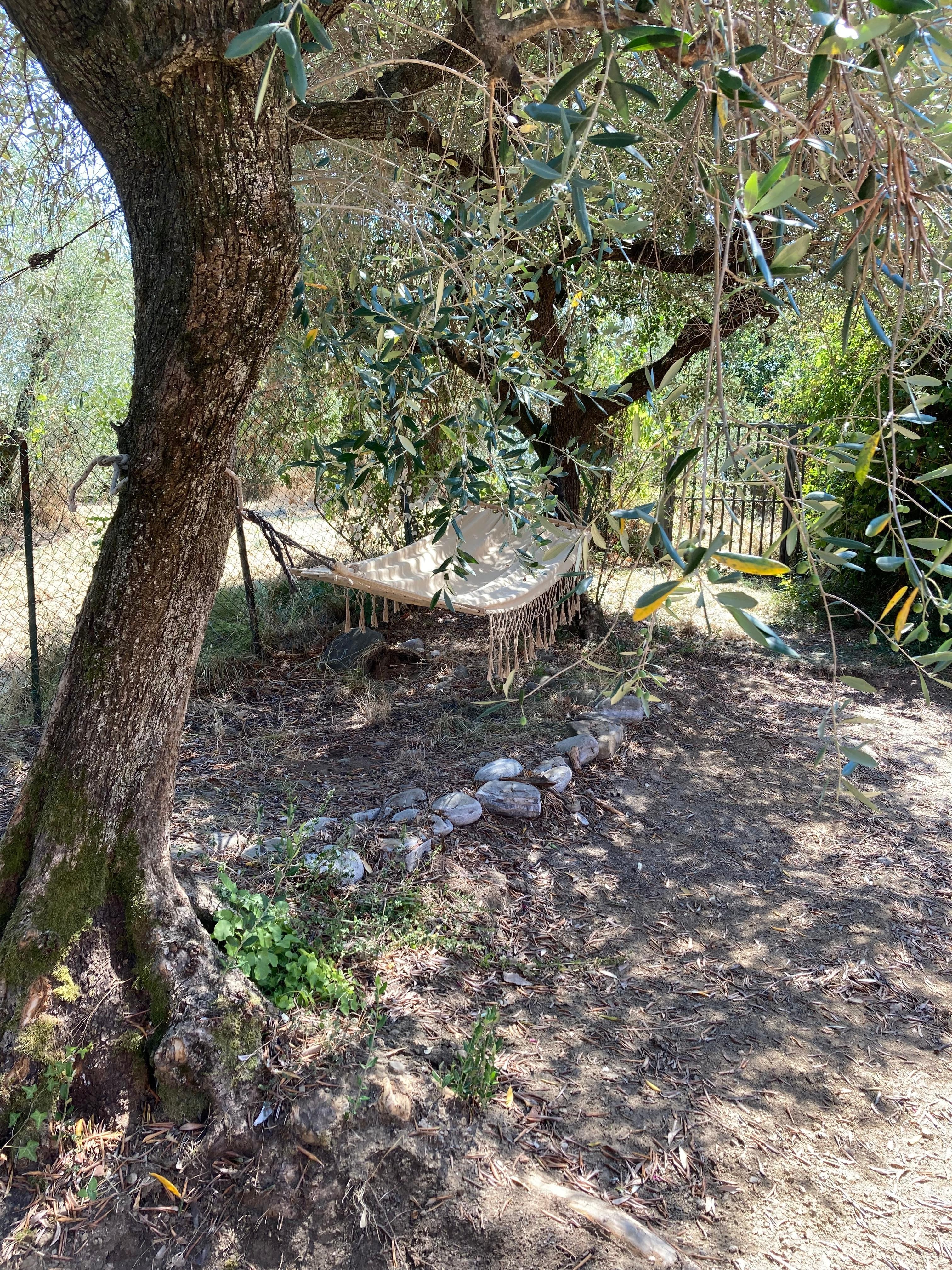 Lieblingplatz nach dem Frühstück