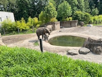 Enjoying the zoo