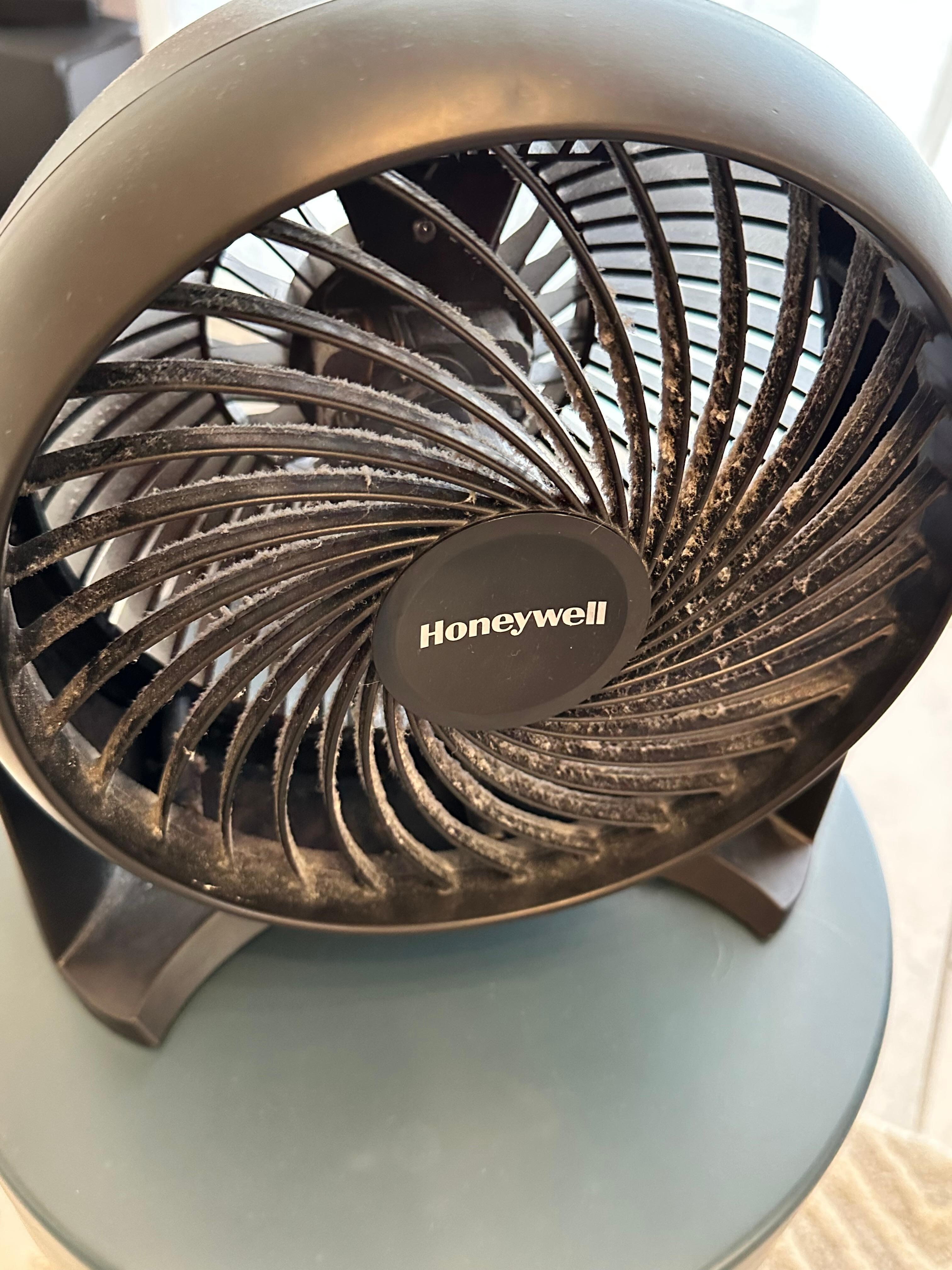 Both fans we found were in the same condition