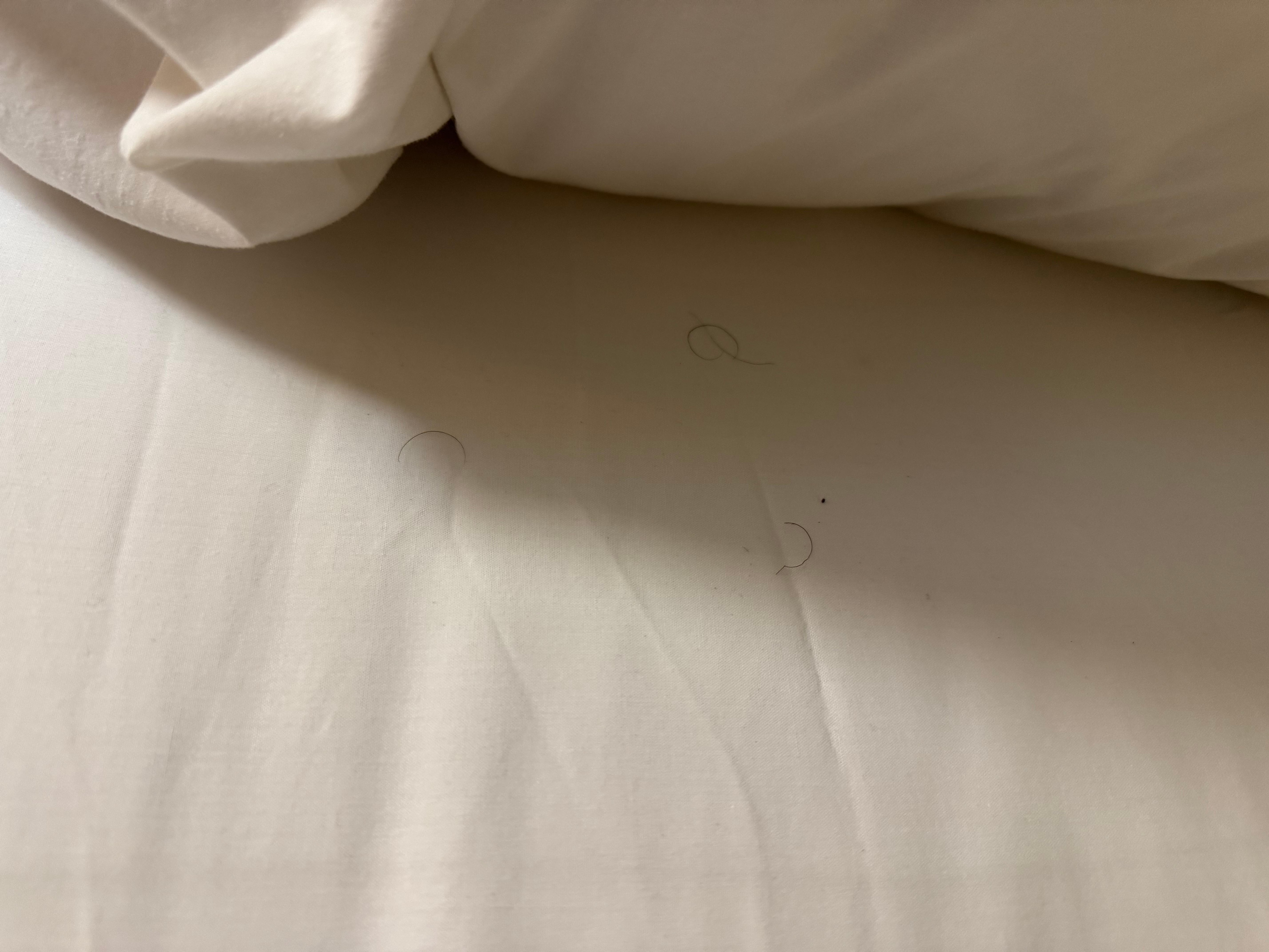 The bed had hair in it looks like pubic hair.