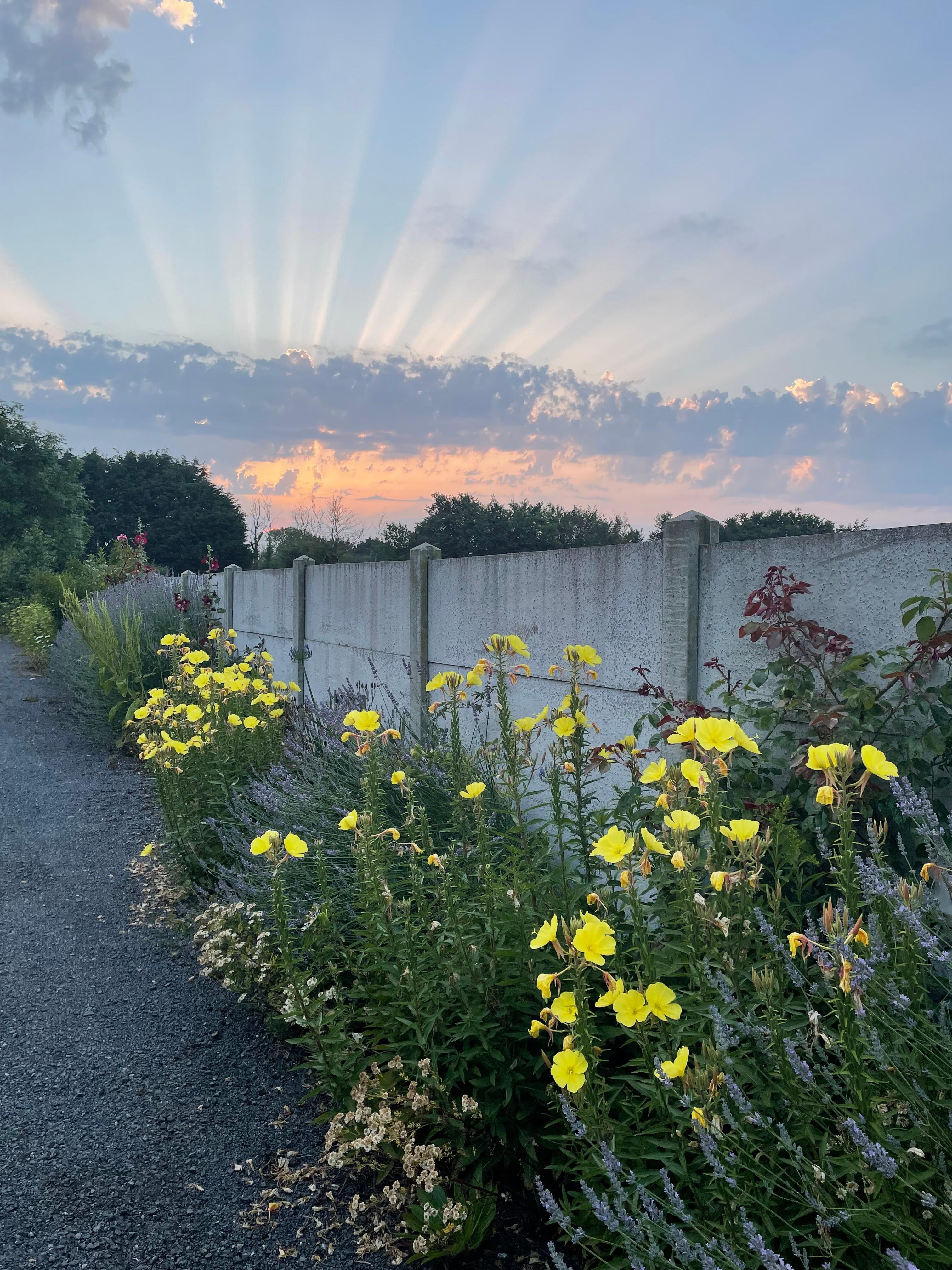 Beautiful sunset in the Normandy countryside outside of home