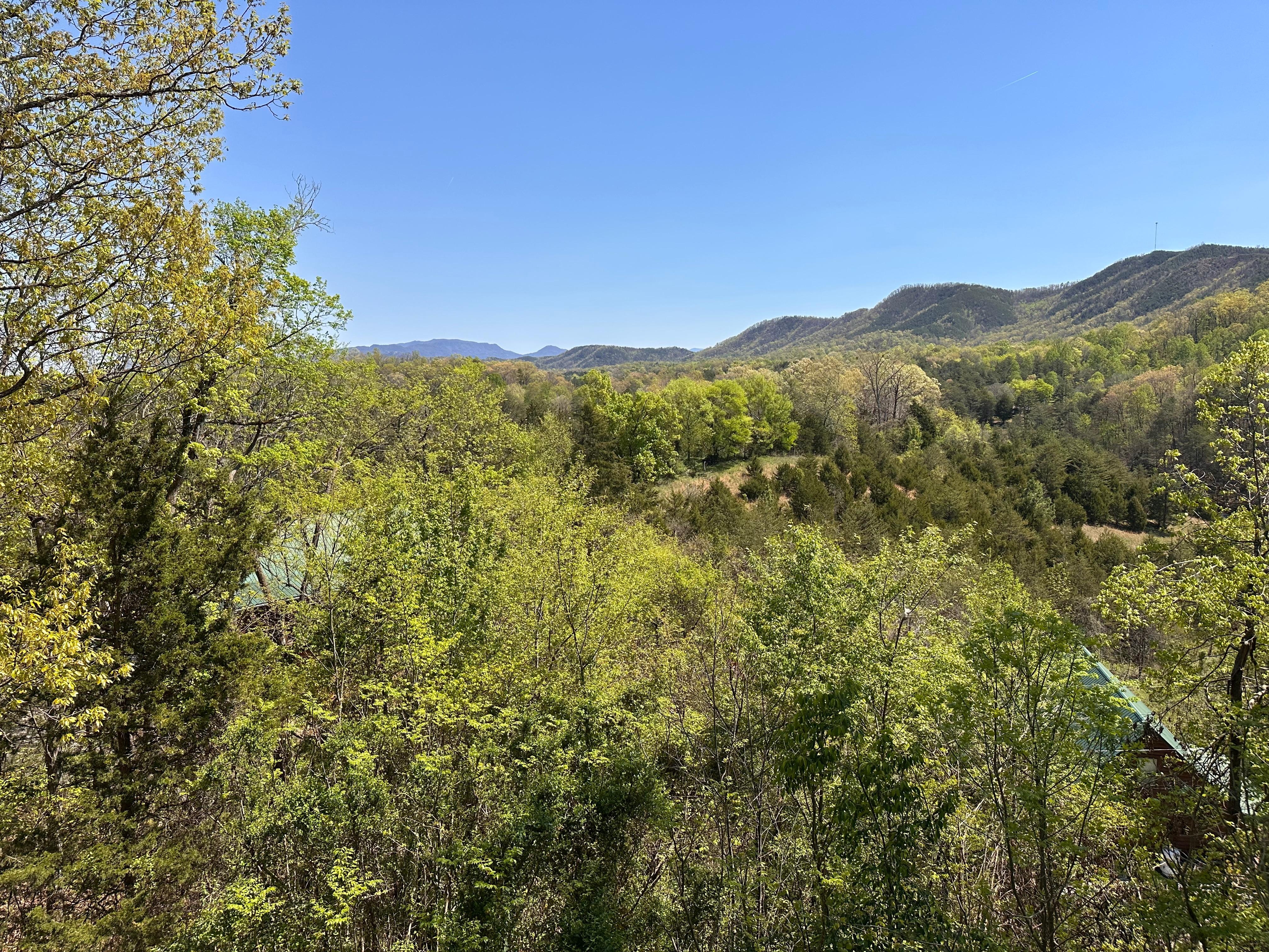 Photos from back deck