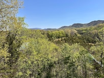 Photos from back deck