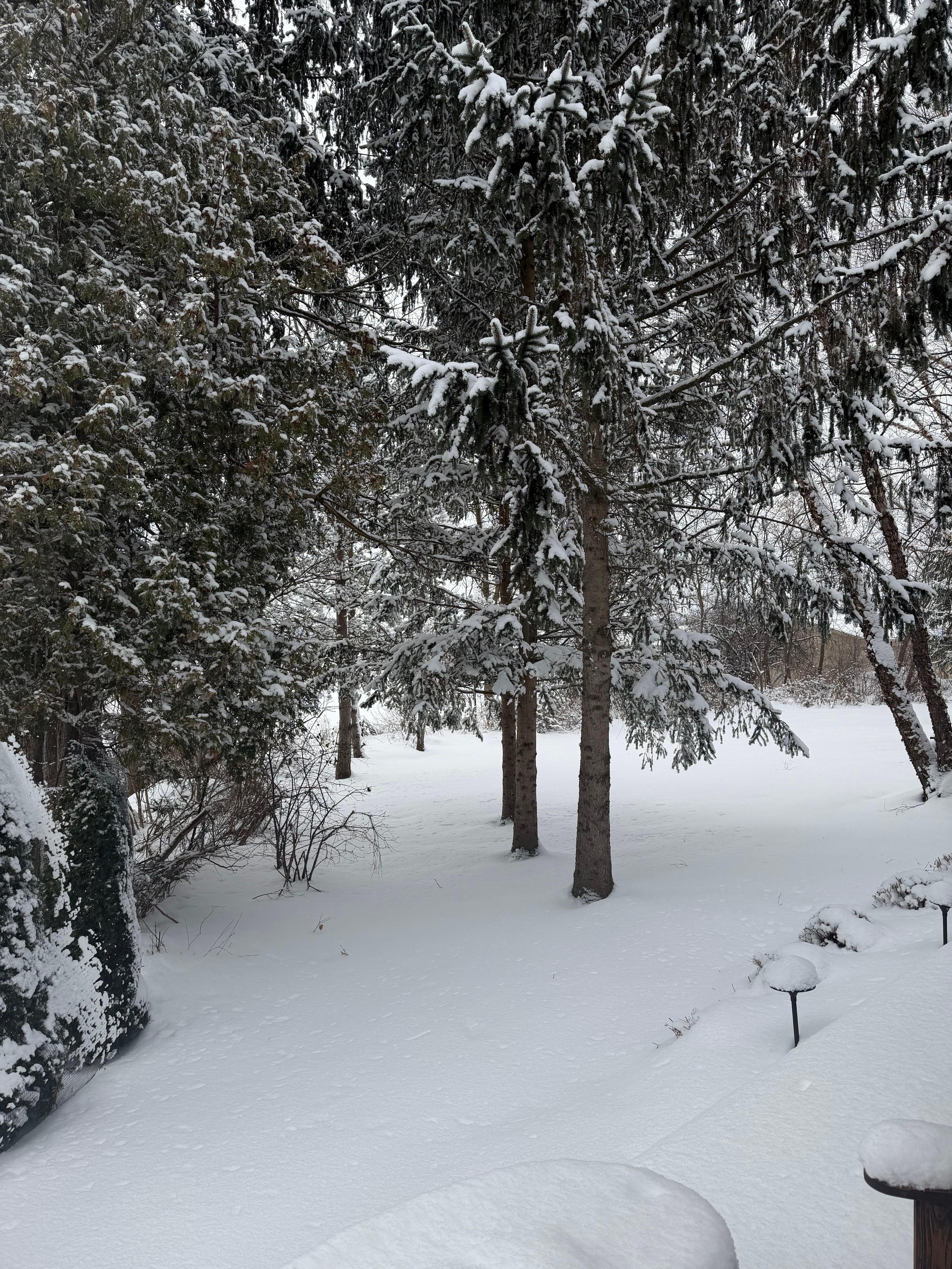 View looking out from our room 