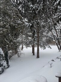 View looking out from our room