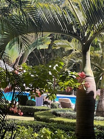 View of the pool from the restauran