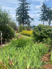 Another path and flower bed.