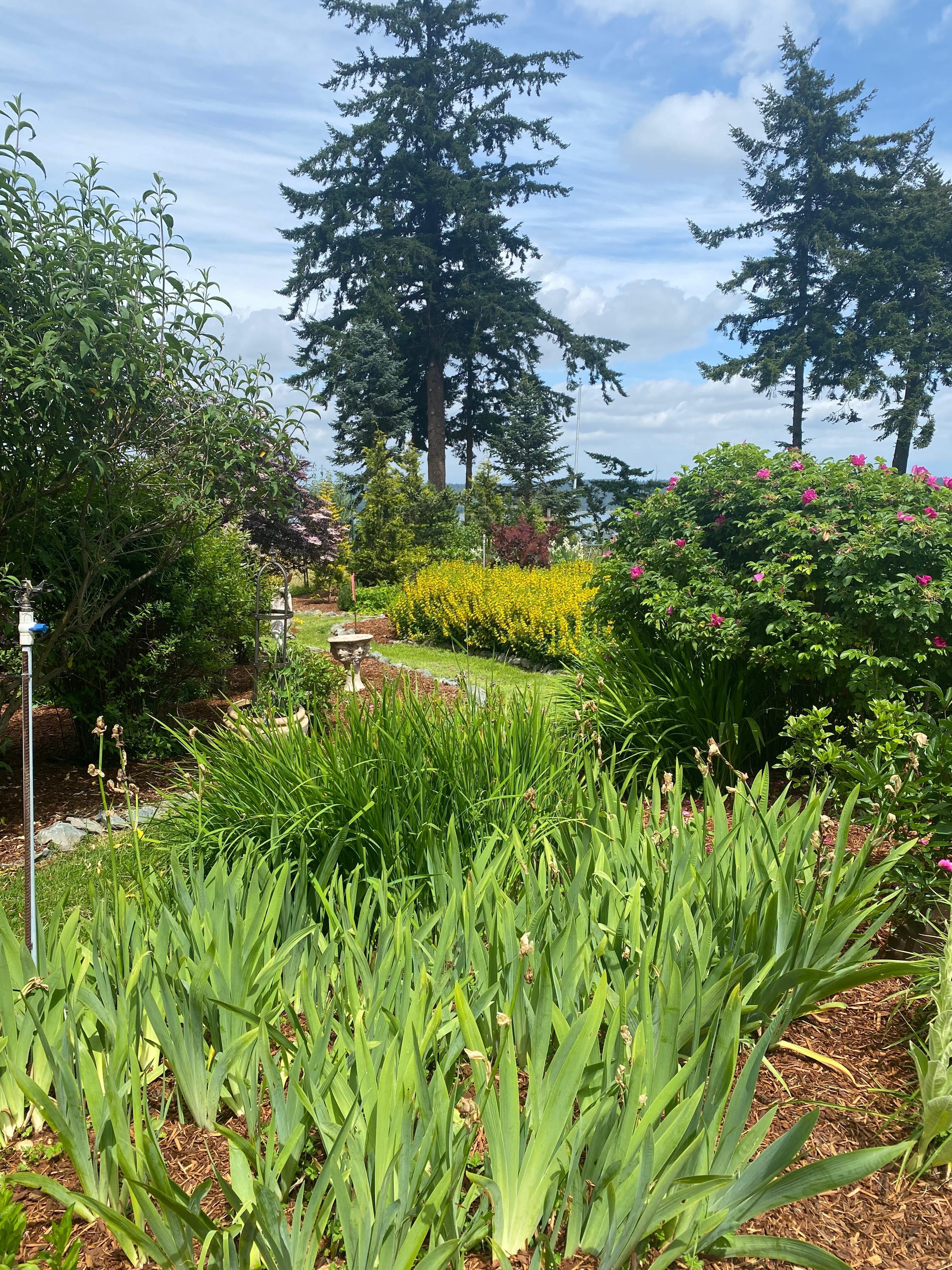 Another path and flower bed. 