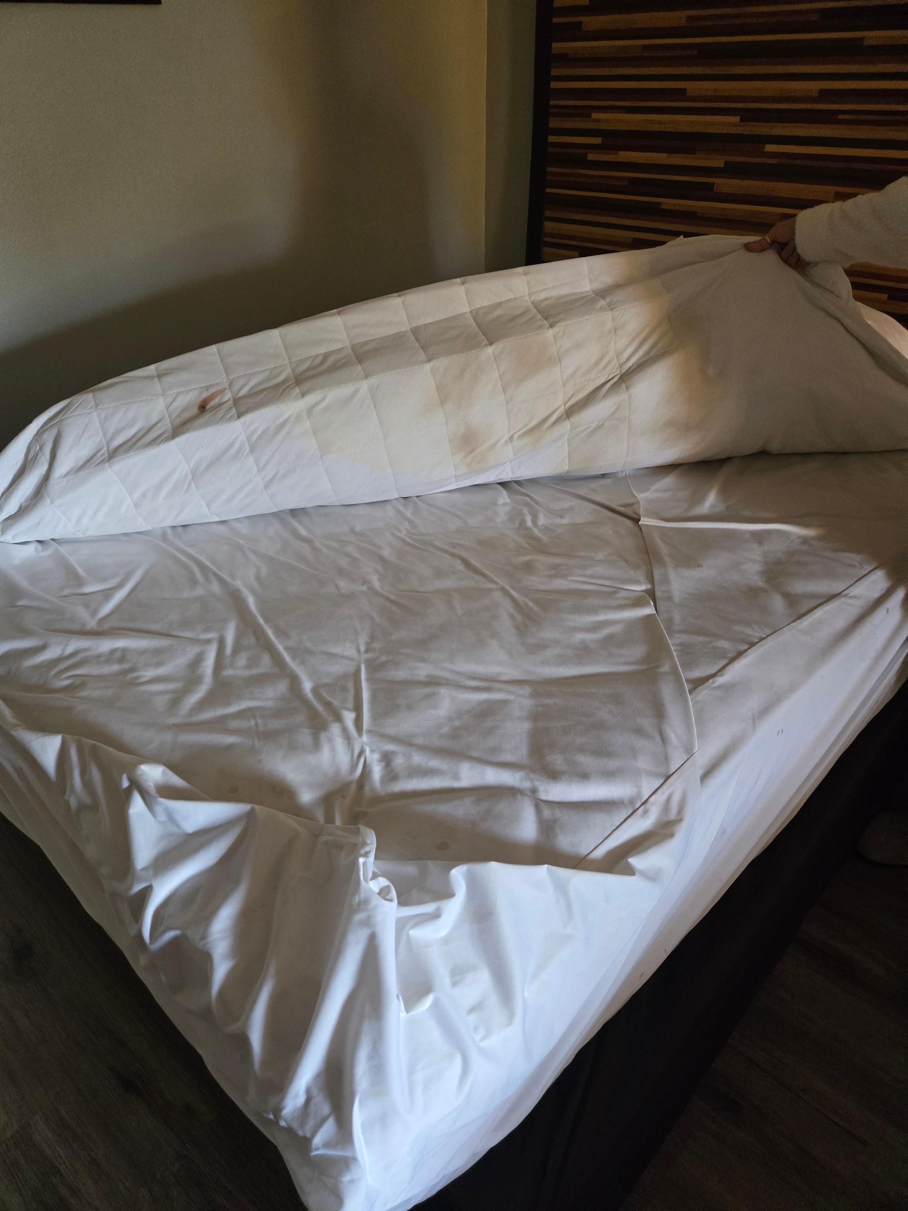 Urine and who knows what ride stains!!!!!