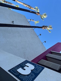 Our room was just a few feet from that first tree