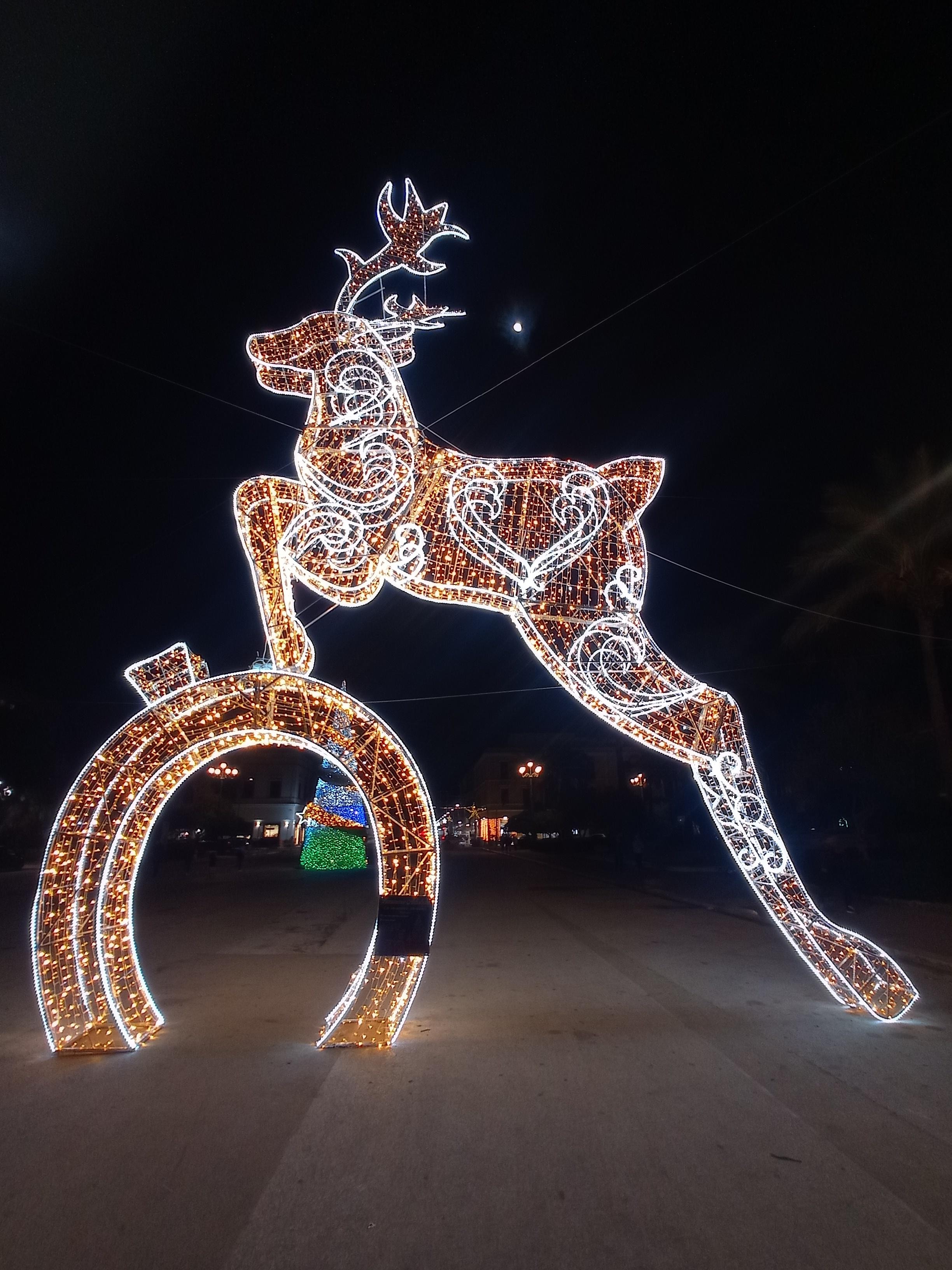 Addobbo natalizio adiacente all'hotel 