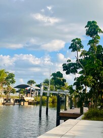 Fishing every night off the pier in the backyard