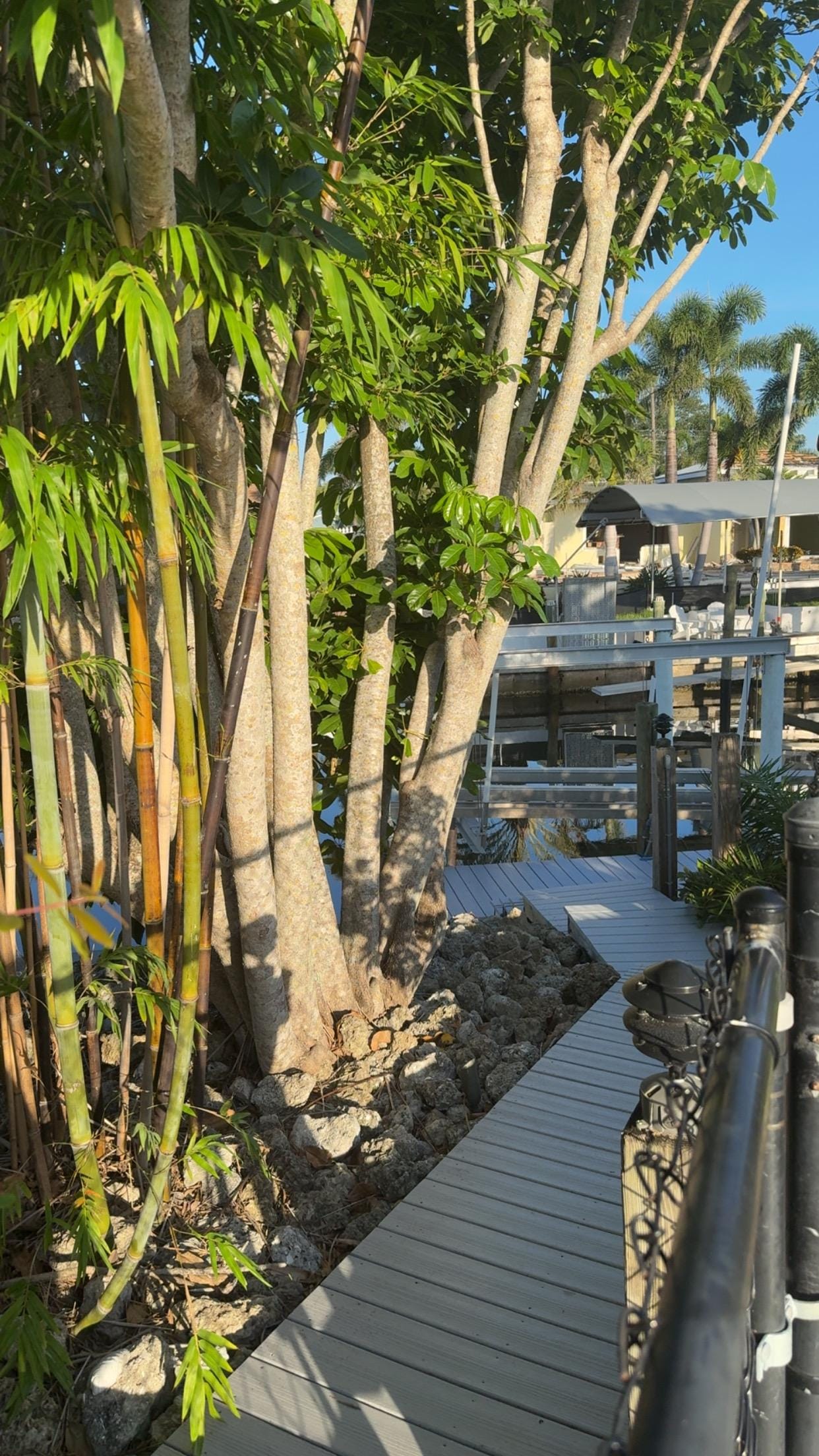 Walk path down to the the doc 