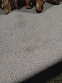 Care to have a seat?