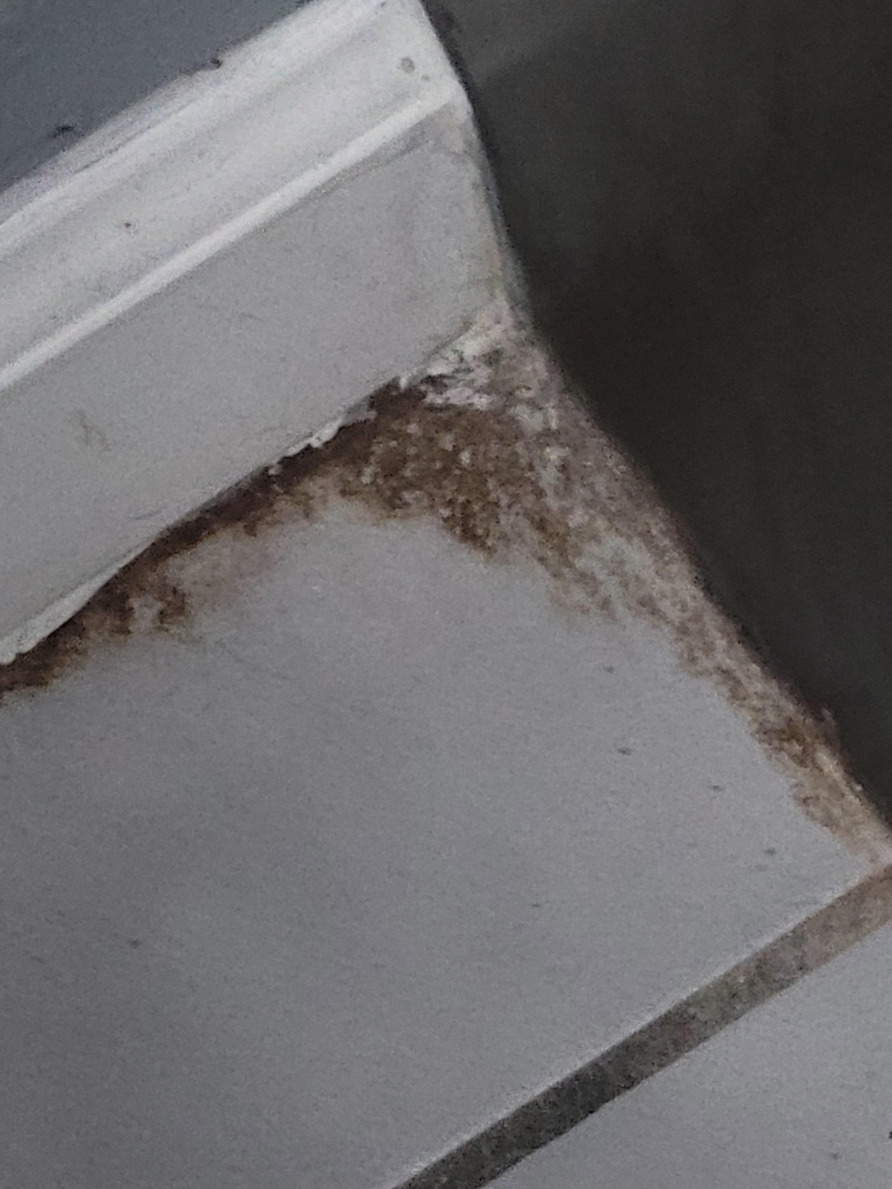 Pictures tell the story 