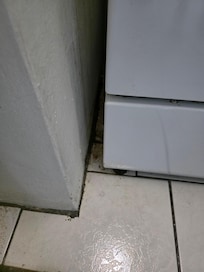Dirty/black mold in kitchen