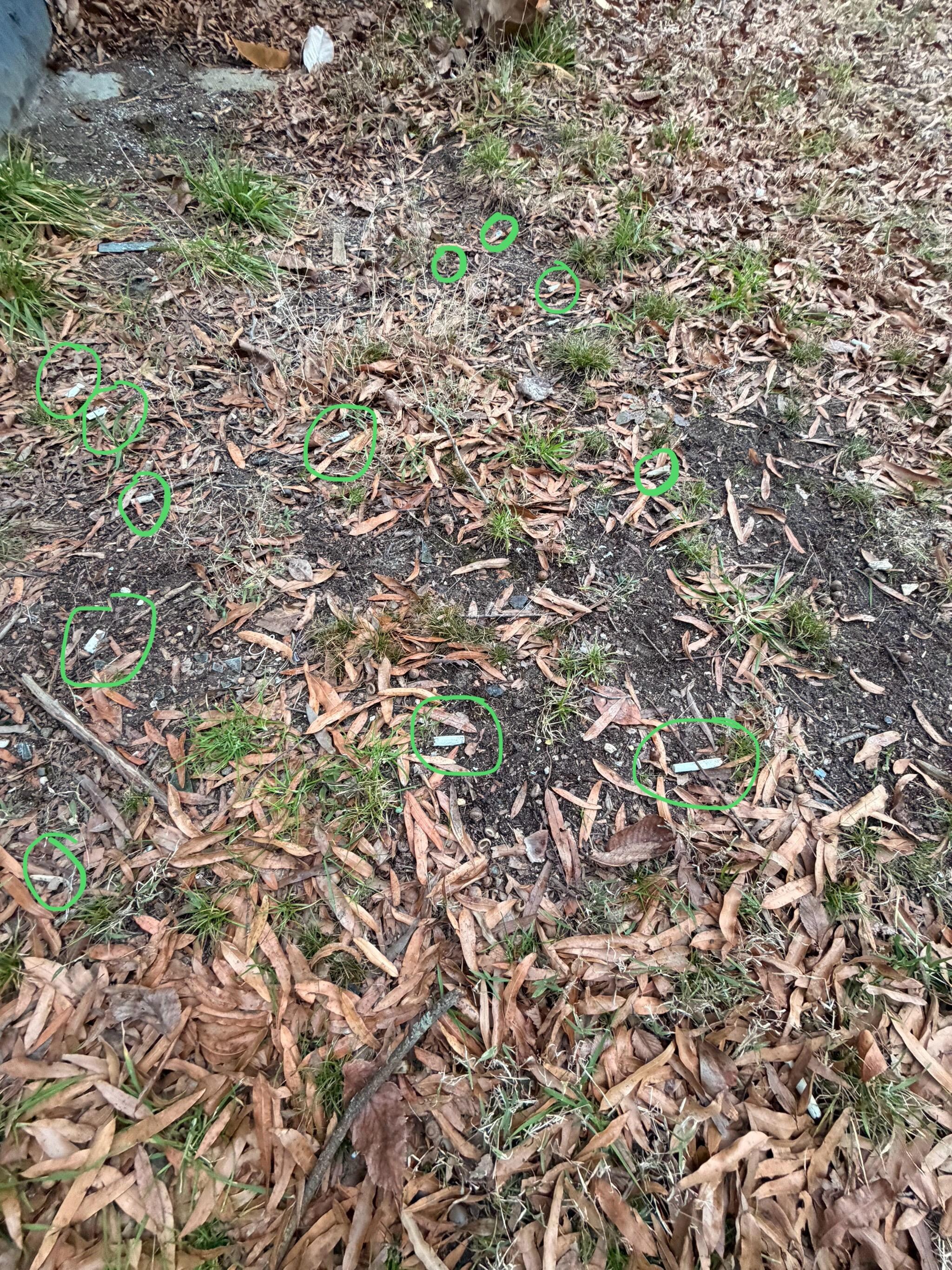 Cigarette butts ALL over the backyard. It is very clear they do not clean the yard at all. Super disappointing.