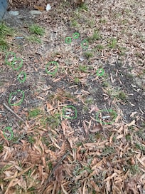 Cigarette butts ALL over the backyard. It is very clear they do not clean the yard at all. Super disappointing.