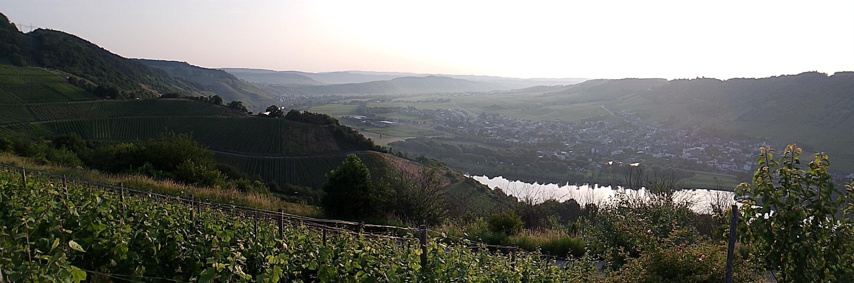 Morgens auf dem Sonneninselrundweg oberhalb von Minheim 