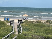 Overgrown vegetation at boardwalk.