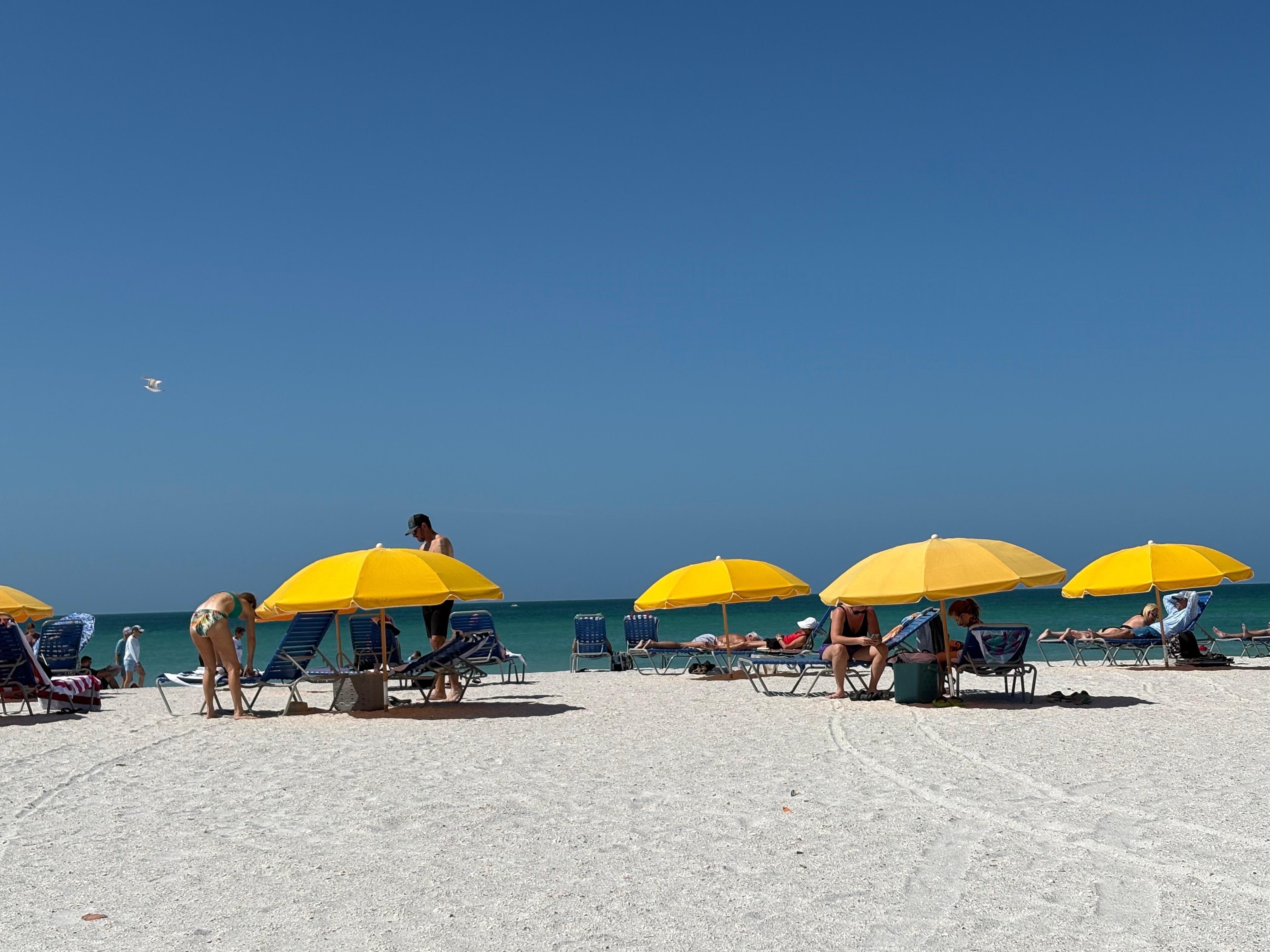 Cabanas, lounge chairs & umbrellas available yo rent at the beach.
