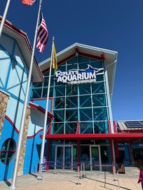 I recommend going to the aquarium. Awesome place to spend the day.