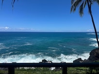 View out the living room! Perfect for turtle viewing!
