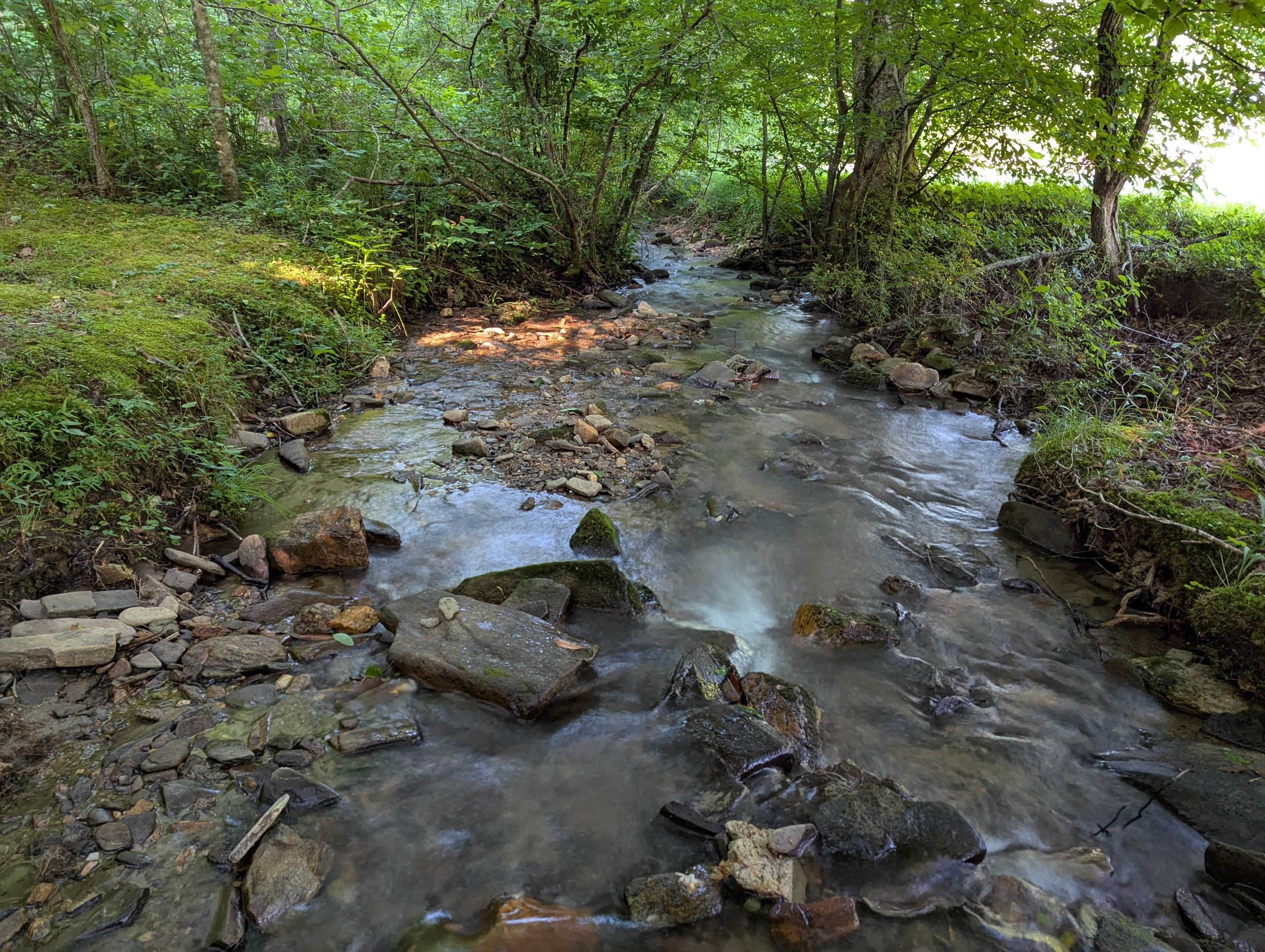 Creek flowing by property.