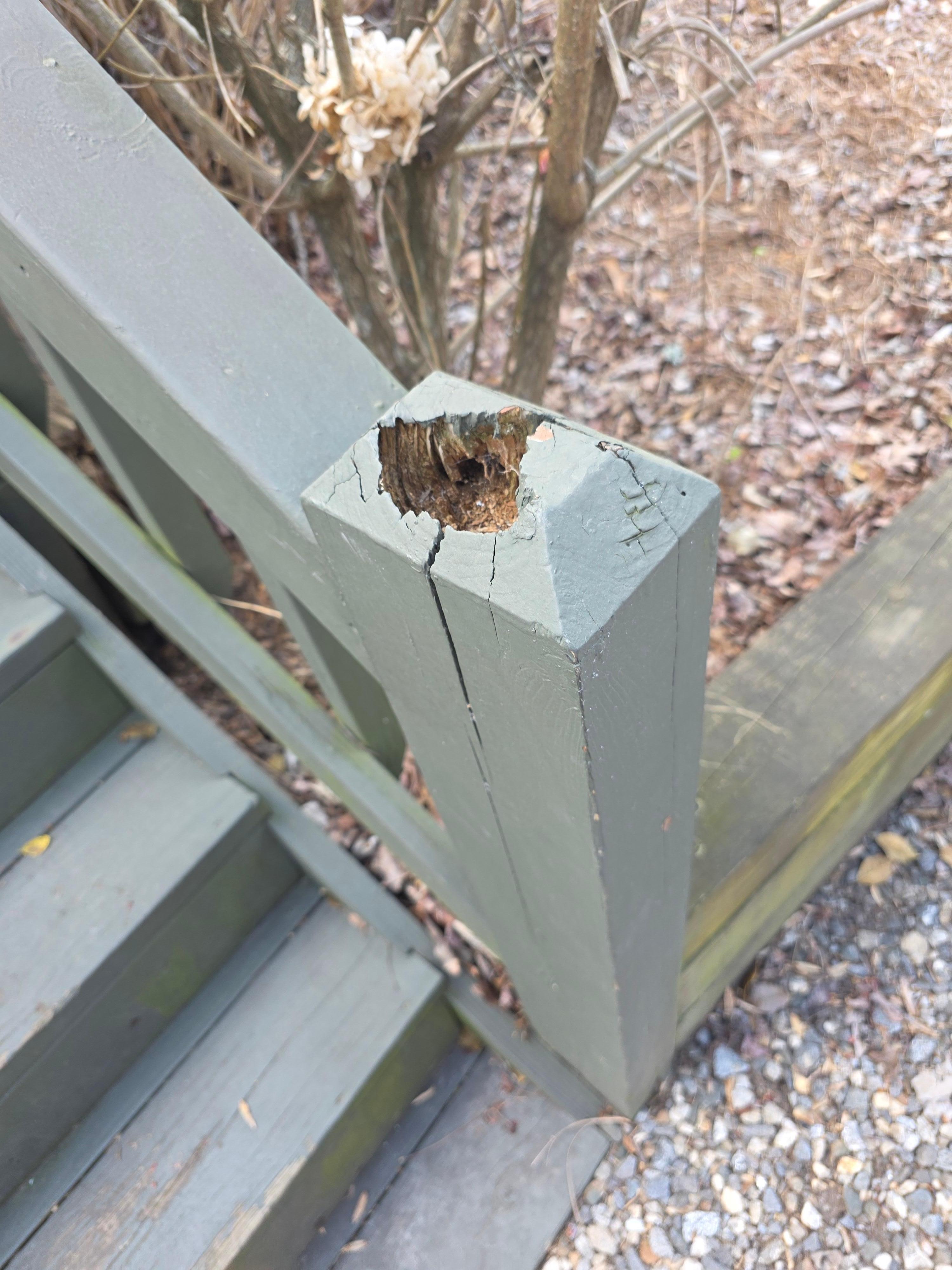 Rotted decking everywhere, loose poles, safety concerns