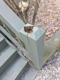 Rotted decking everywhere, loose poles, safety concerns
