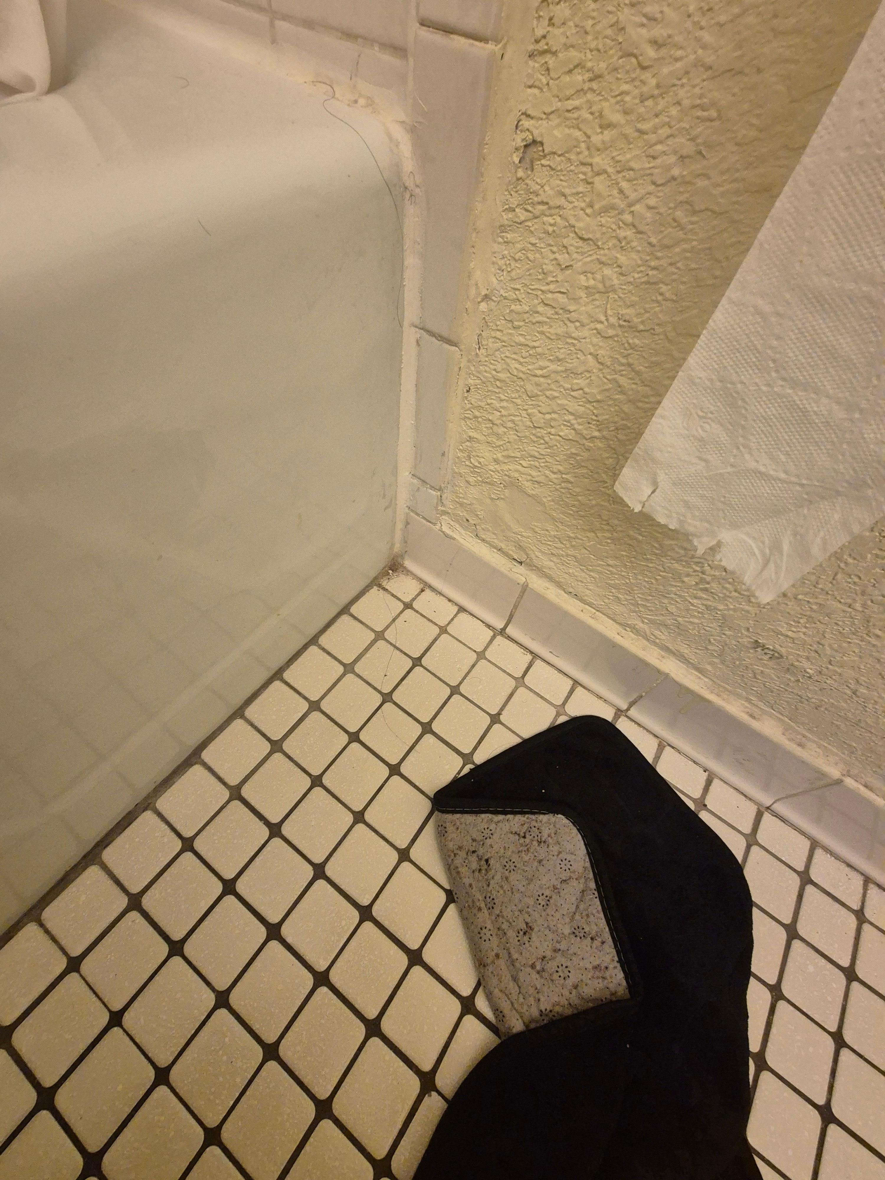 Asi recibimos el baño
