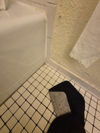 Asi recibimos el baño