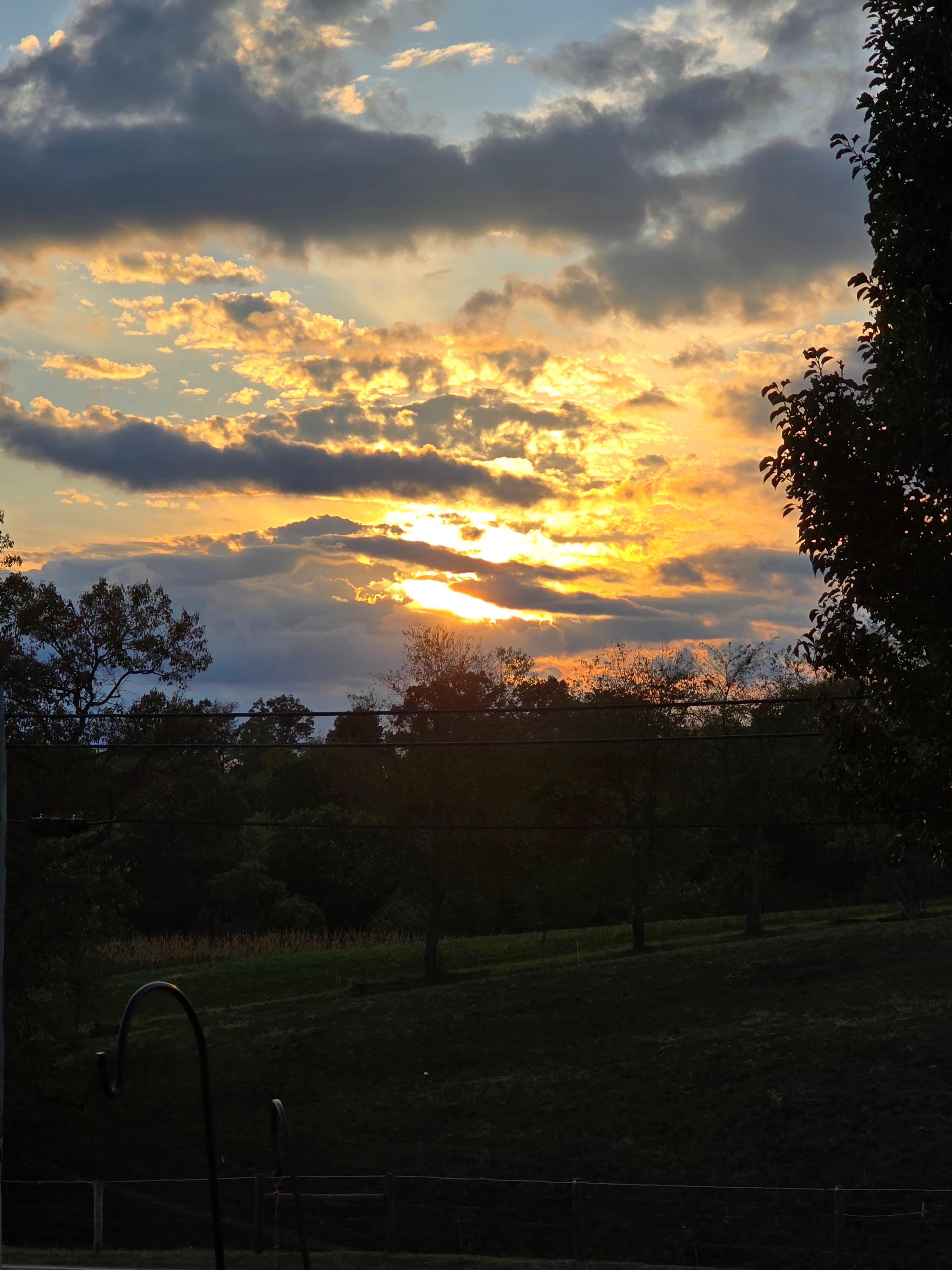 Our view from the front porch. 