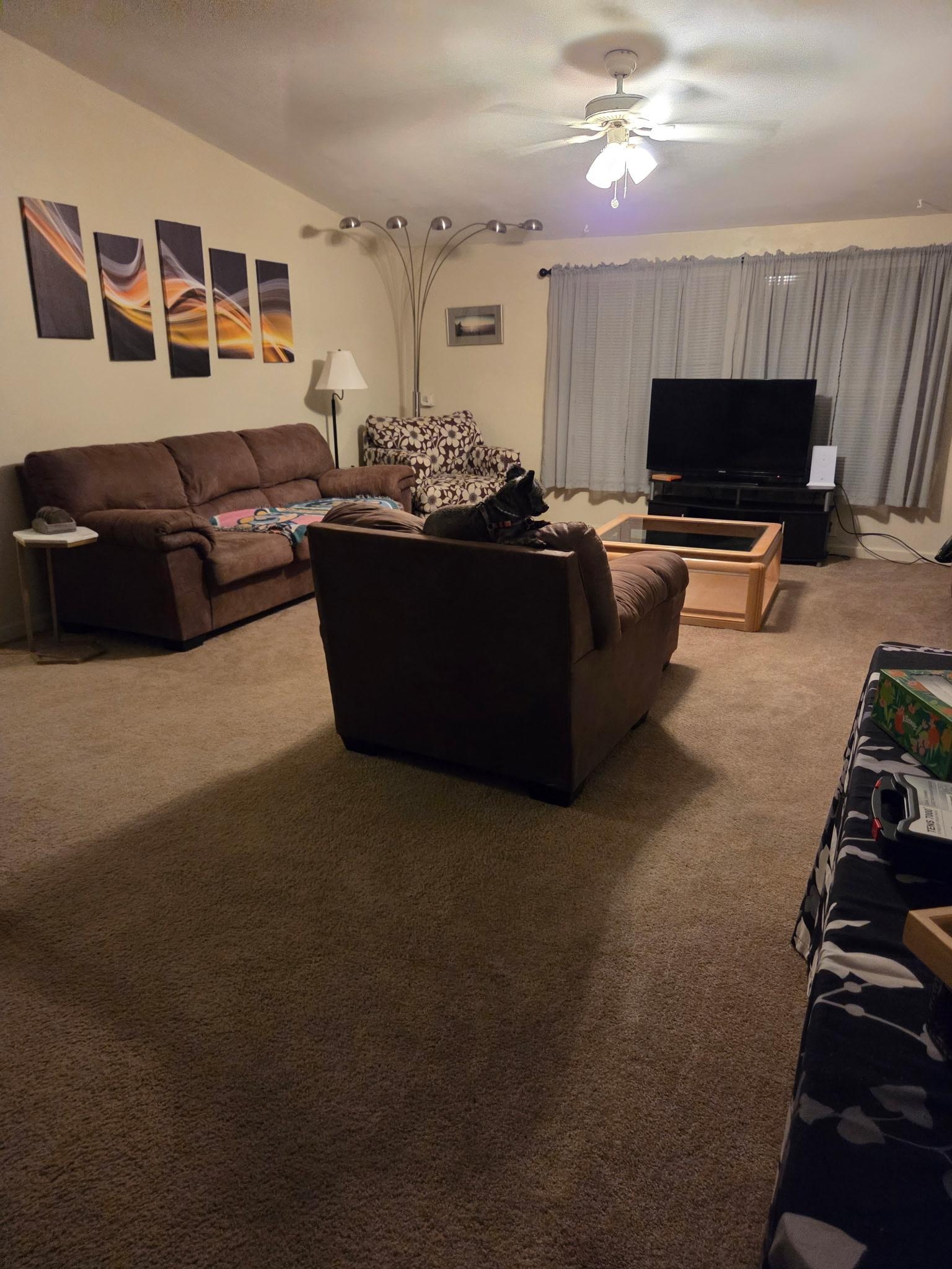 Pet friendly and beautiful!