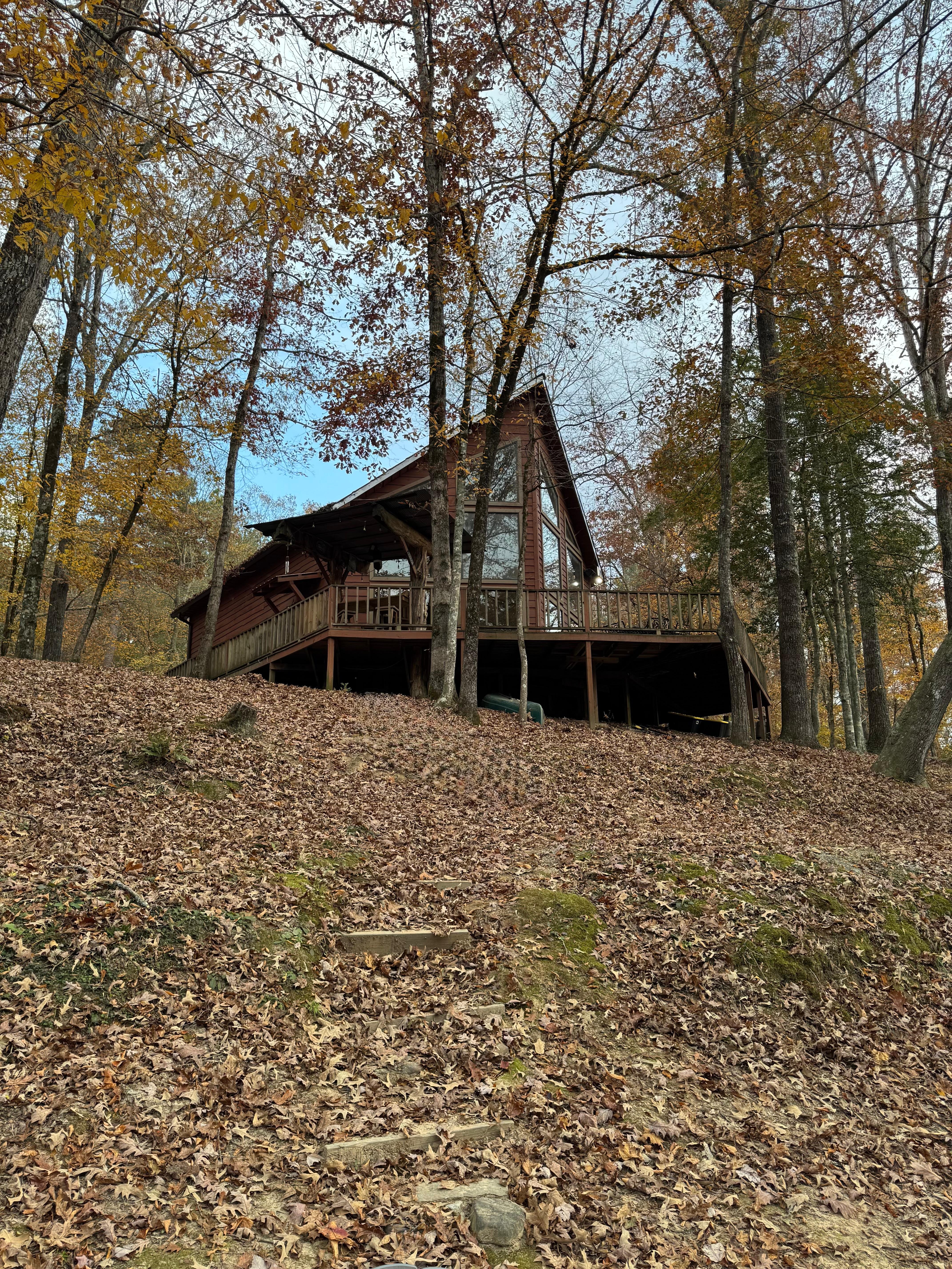 View of the cabin from the river’s dock