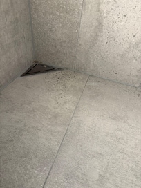 Smuts, damm och fläckar (mögel?) i badrummet