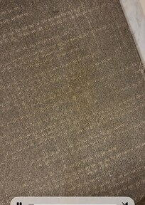 Stains on carpet