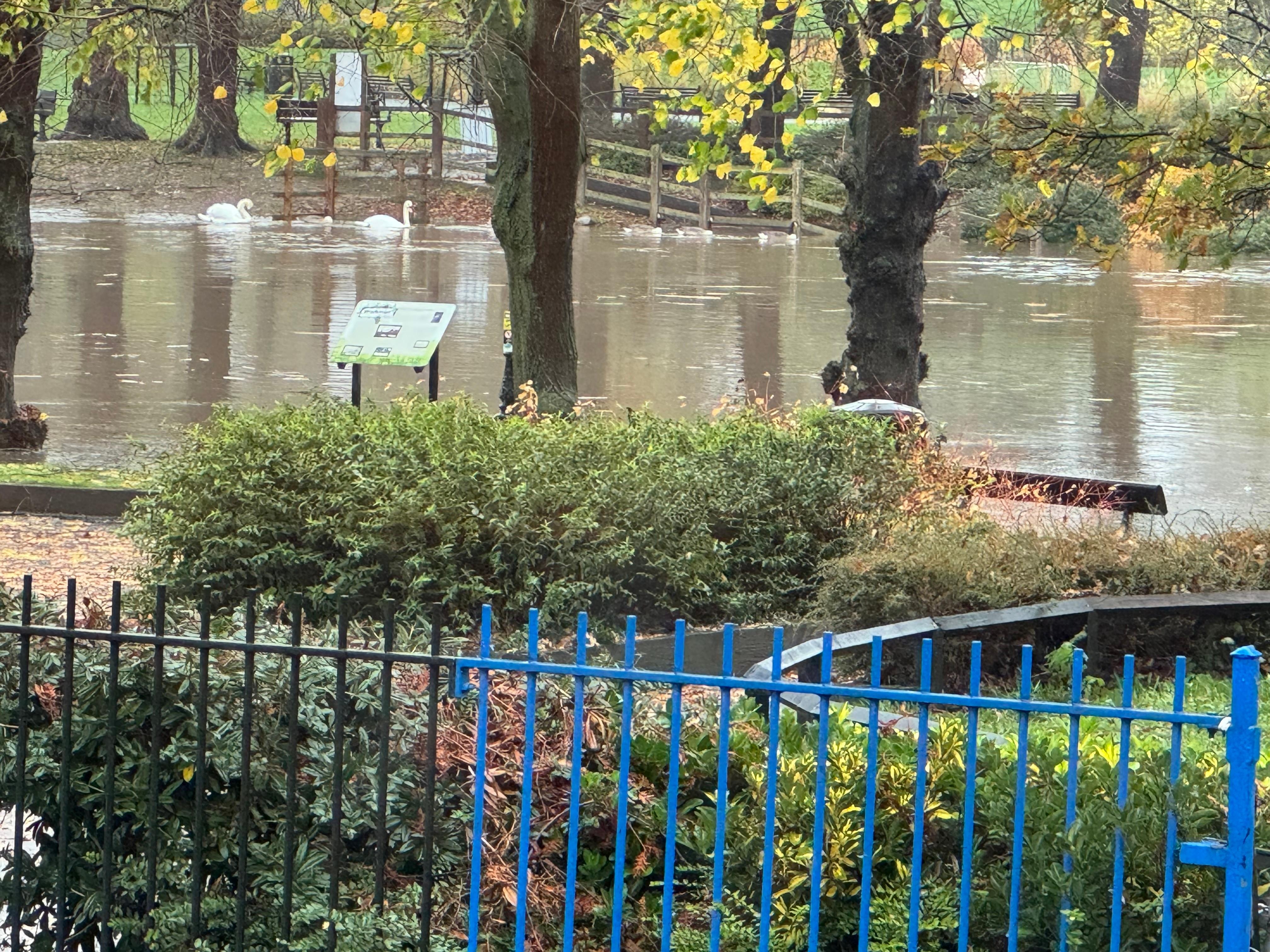 View from the breakfast room 