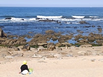 La vieille dame et la mer.