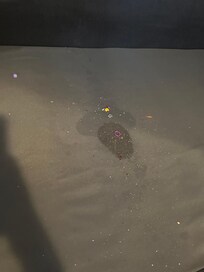 Crumbs/hair/dirt in pull out sofa