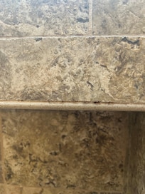 Mold in the shower