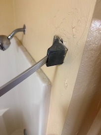 Broken Shower Curtain