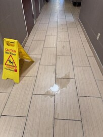 Water and sign there for hours, why not just mop it up?