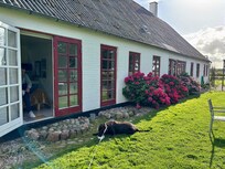 Tuin met kamer