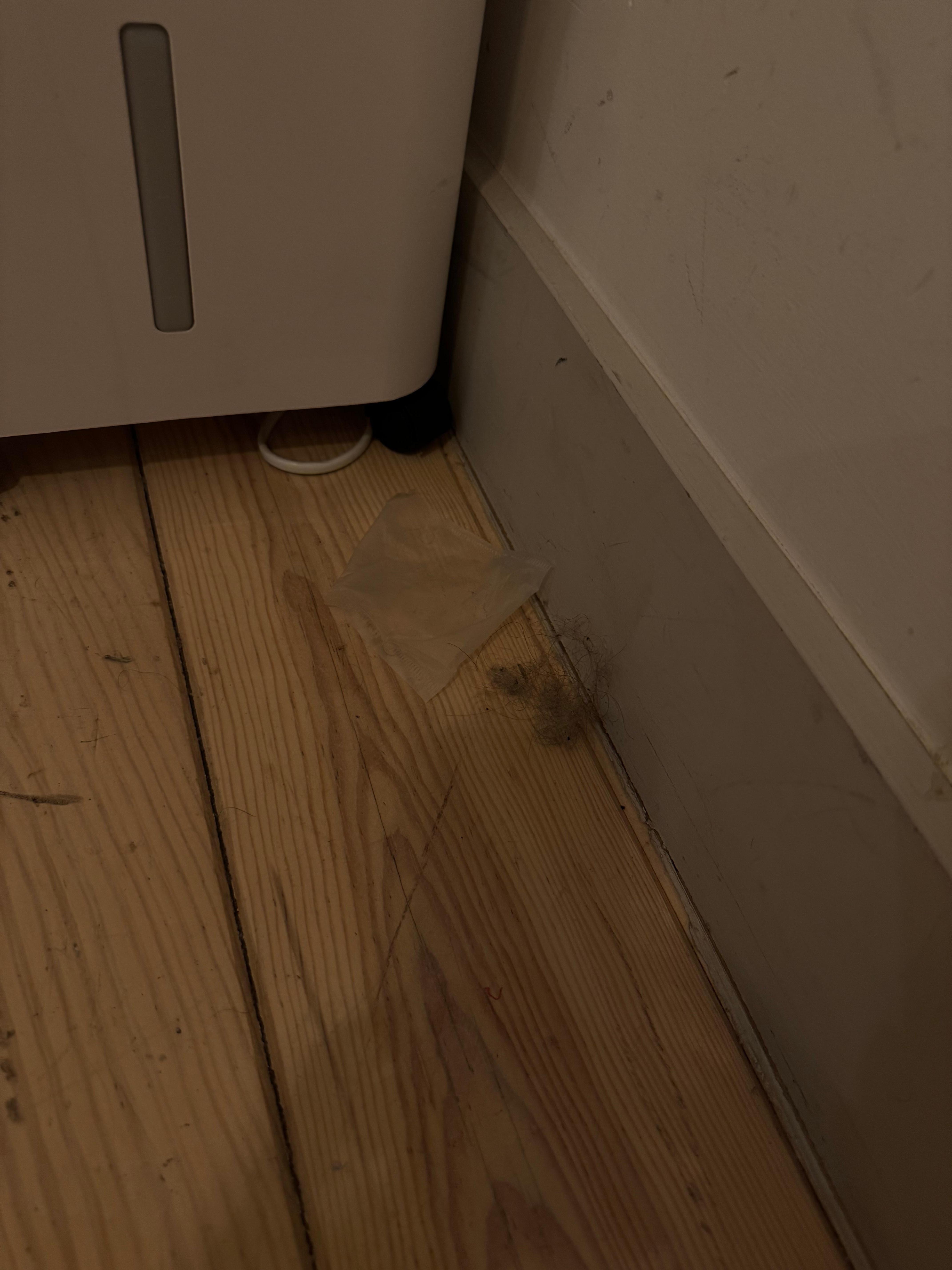 The dirt that came from under the Murphy bed, gross. 